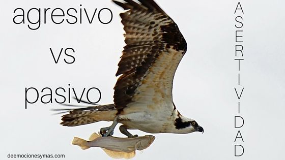 agresiva pasiva asertiva