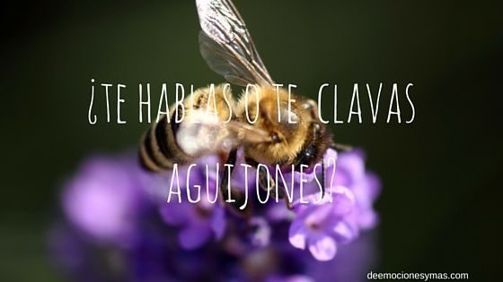 5 herramientas para modificar tu dialogo interno